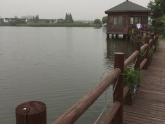 -鹅湖玫瑰文化园