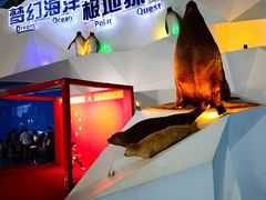 -泉城欧乐堡海洋极地世界