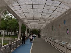 -渤公岛生态公园