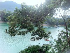 -广州市流溪河国家森林公园