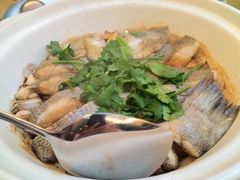 -蔼若春.传承云南菜(金碧公园店)