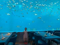 -瑞德姆美人鱼海底演艺主题餐厅(亚龙湾店)
