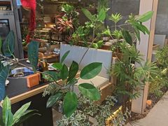 -莺花渡火锅City Green(万象城店)