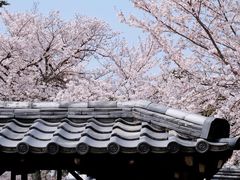 -醍醐寺
