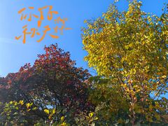 -北京西山国家森林公园