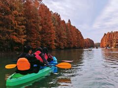 -上海海湾国家森林公园
