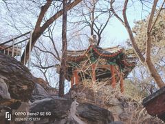 -颐和园