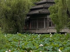 -韩湘水博园