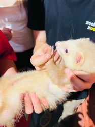 -Zoolung Zoolung动物主题公园(海信广场店)