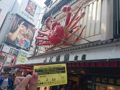 -蟹道乐(道顿堀本店)