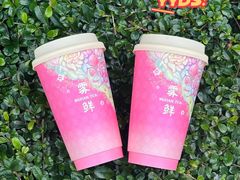 -雾鲜(KKMALL店)