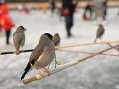 -南长河公园
