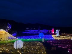 -名花谷生态庄园