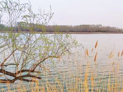 -野鸭湖国家湿地公园