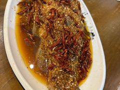 -向民炒鸡老店(金泰华府店)