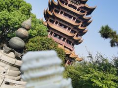 -黄鹤楼公园(黄鹤楼)