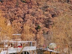 -秦岭风景区