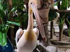 -海合安武汉极地海洋公园