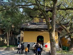 -普陀山风景名胜区-法雨禅寺