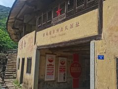 -雁南飞茶田景区