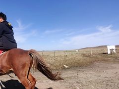 -塞罕坝国家级自然保护区