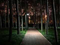 -仁和公园(顺义区)