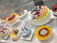 -蒲公英(五里店)