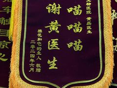 -美美宠物诊疗中心·异宠·骨科(滨江东信分院)