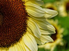 -奥林匹克森林公园北园-停车场