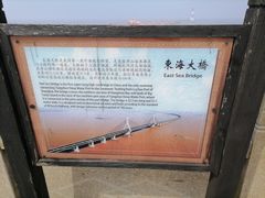 -洋山深水港