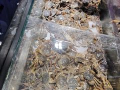 -欢乐牧场海鲜烤肉自助(牡丹园店)