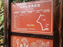 -武夷山风景名胜区-玉女峰