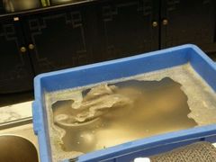 -常州逸高酒店-中餐厅