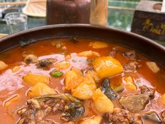 -青城甲(青城山店)