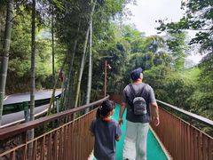 -莫干山风景区
