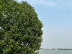 -武清南湖绿博园