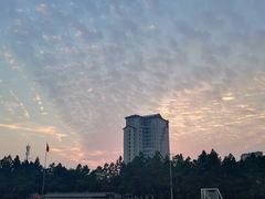 -浙江越秀外国语学院