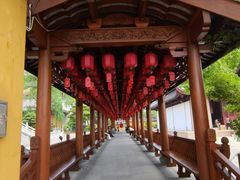 -上海东林寺(金山区)