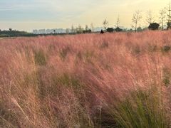 -汉长安城未央宫国家考古遗址公园