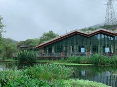 -西湖风景区-江洋畈生态公园