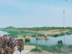 -西青郊野公园