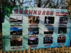 -北京张裕爱斐堡酒庄