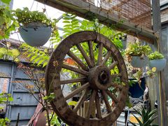 -新疆狼爷烤肉(宋庄店)