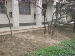 -山东大学(千佛山校区)