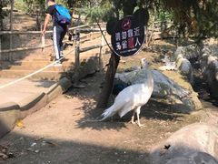 -哈尔滨北方森林动物园