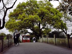 -苏堤停车场