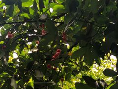 -云溪植物园