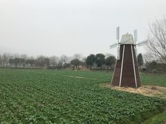 -长兴太湖图影湿地文化园