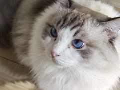 -听TA说宠咖·宠物生活馆(天韵水岸店)