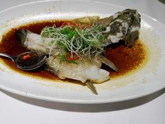 -老洋房花园饭店(绍兴路店)